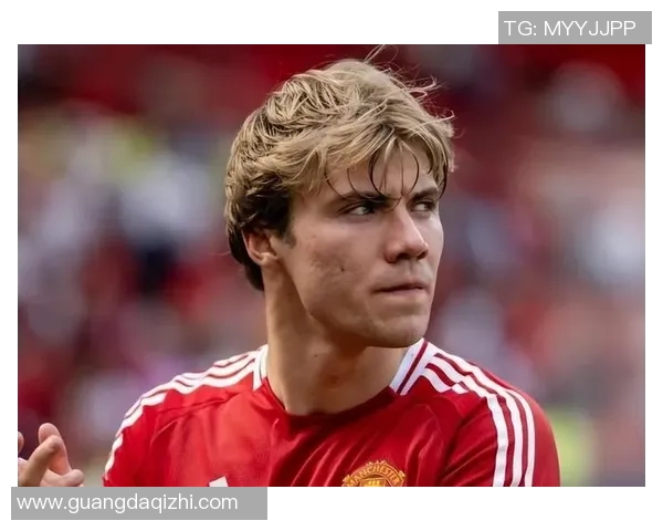 霍伊伦的传奇人生与时代变迁的深刻影响分析