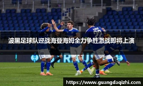 波黑足球队迎战海登海姆全力争胜激战即将上演